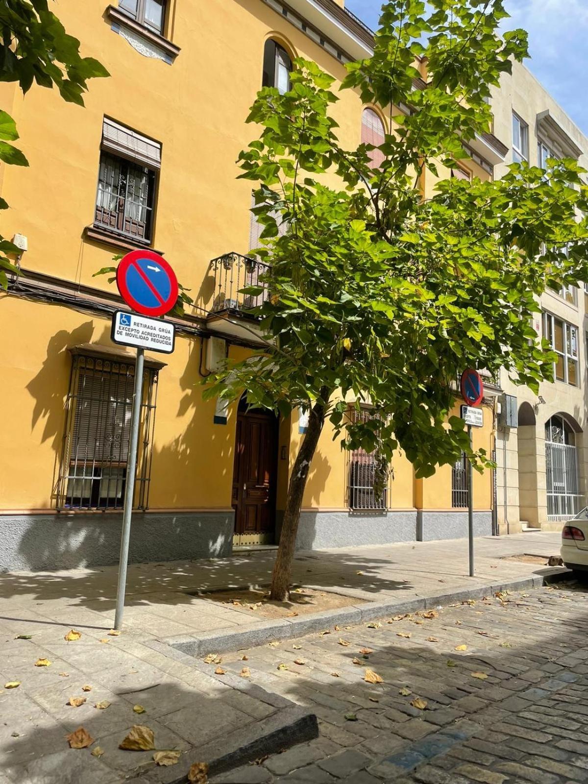Apartamento Entero En Los Jardines De Murillo Севиля Екстериор снимка
